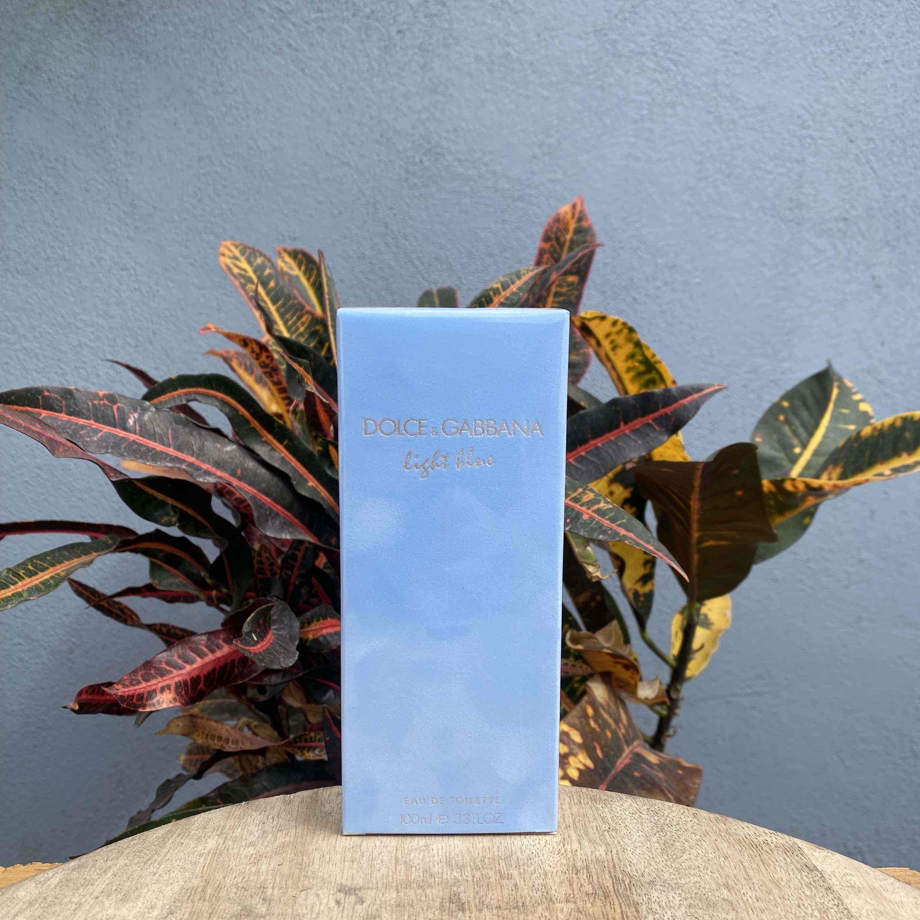 DOLCE &amp; GABBAN LIGHT BLUE 100 ML EDT (WOMAN)