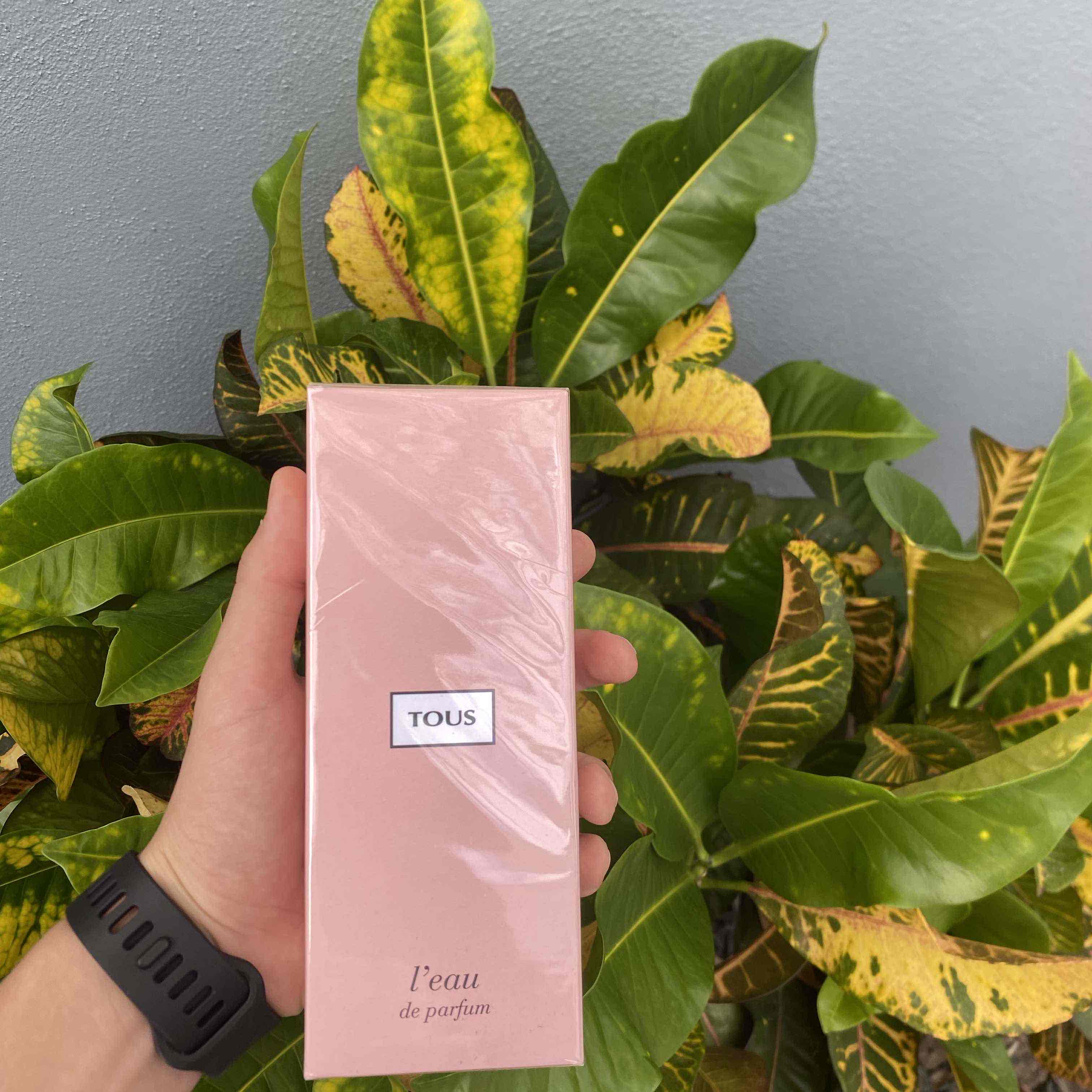 TOUS L EAU 100 EDP