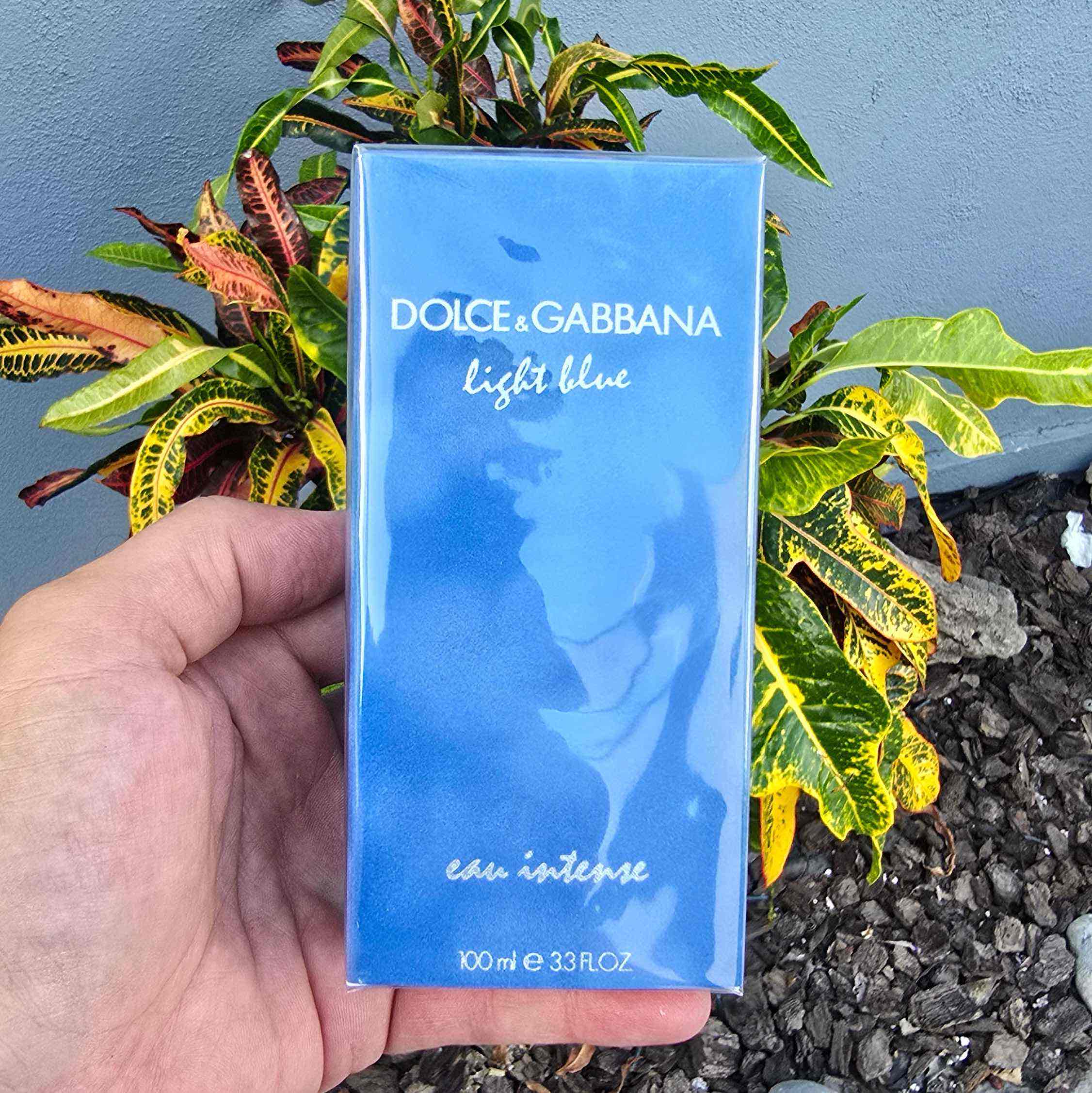 DOLCE &amp; GABBAN INTENSE LIGHT BLUE 100 ML EDT (WOMAN)