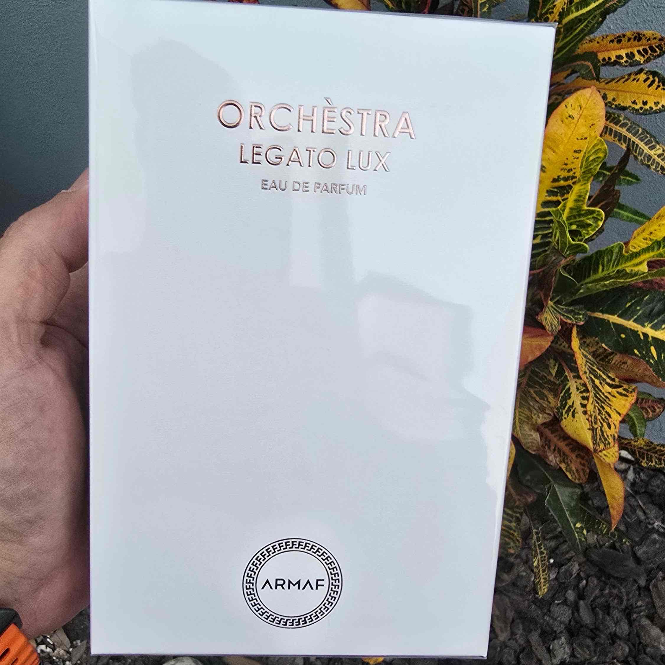 ARMAF ORCHESTRA LEGATO LUX