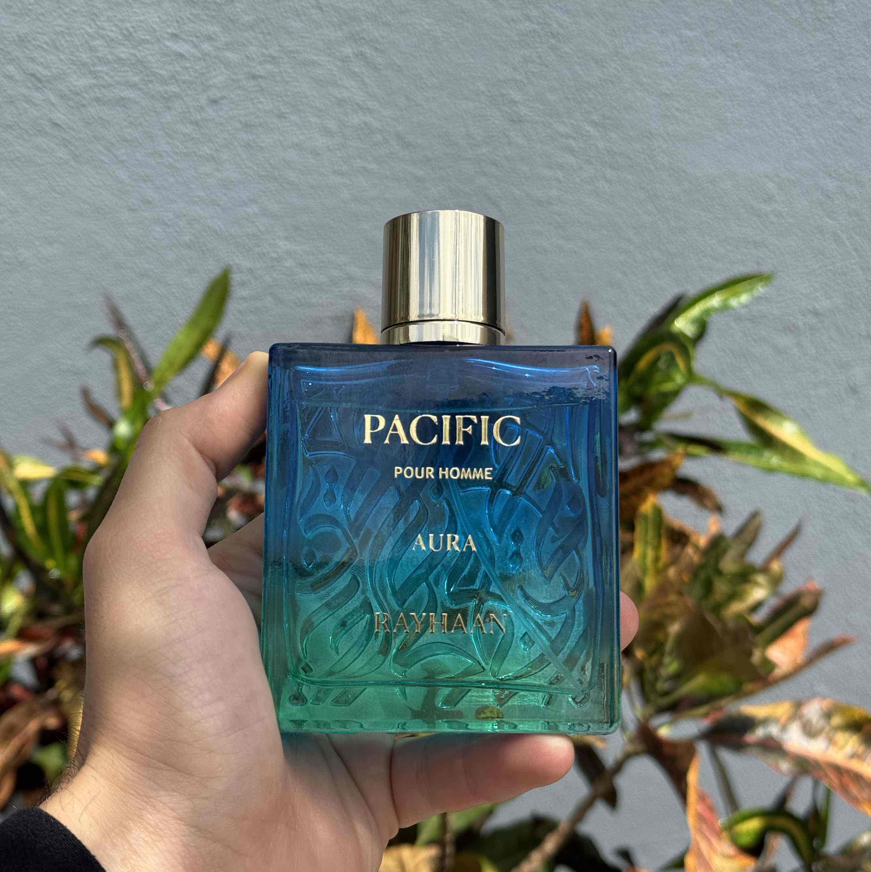 RAYHAAN PACIFIC AURA 100 ML EDP